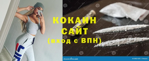 МДПВ Снежногорск