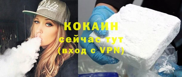 МДПВ Снежногорск