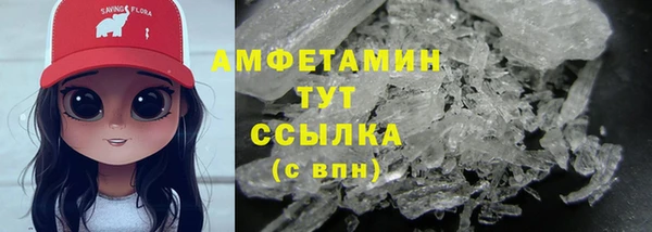 МДПВ Снежногорск