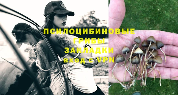 МДПВ Снежногорск