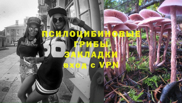МДПВ Снежногорск