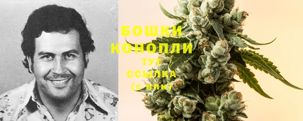 стафф Снежинск