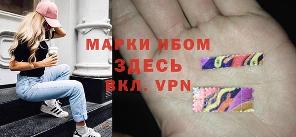 МДПВ Снежногорск