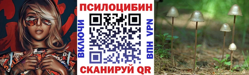 Псилоцибиновые грибы ЛСД  Купить закладки  Спас-Клепики 